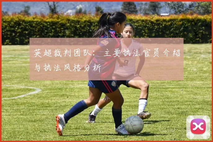 英超裁判团队：主要执法官员介绍与执法风格分析